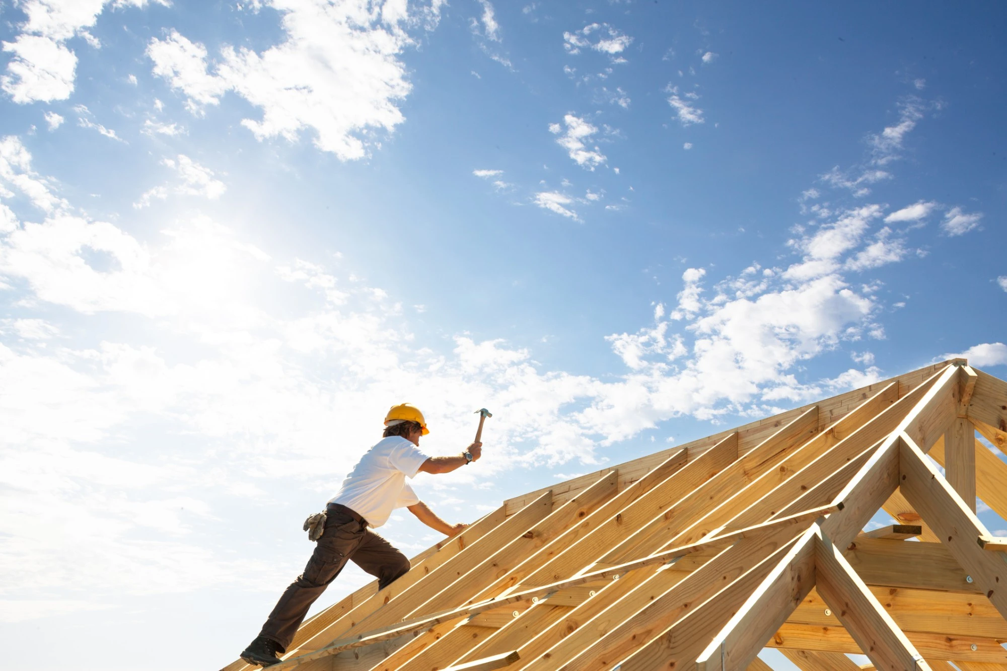 Roof Maintenance